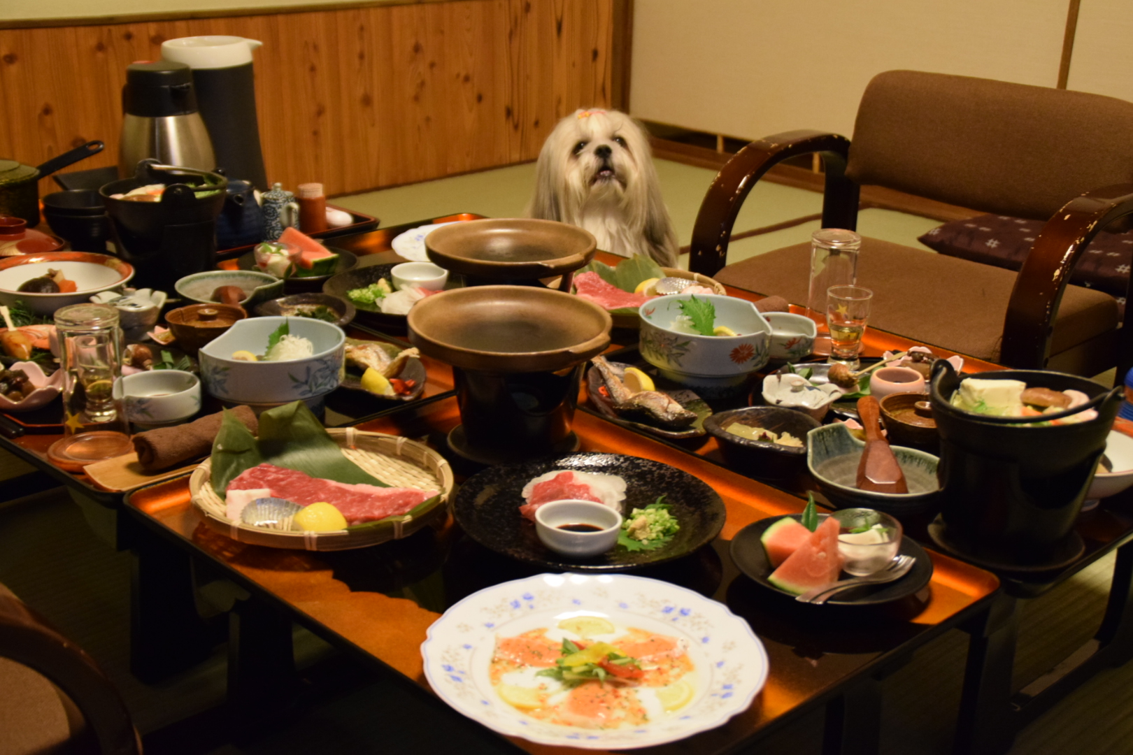 ペット と 泊まれる 宿 部屋 食 温泉