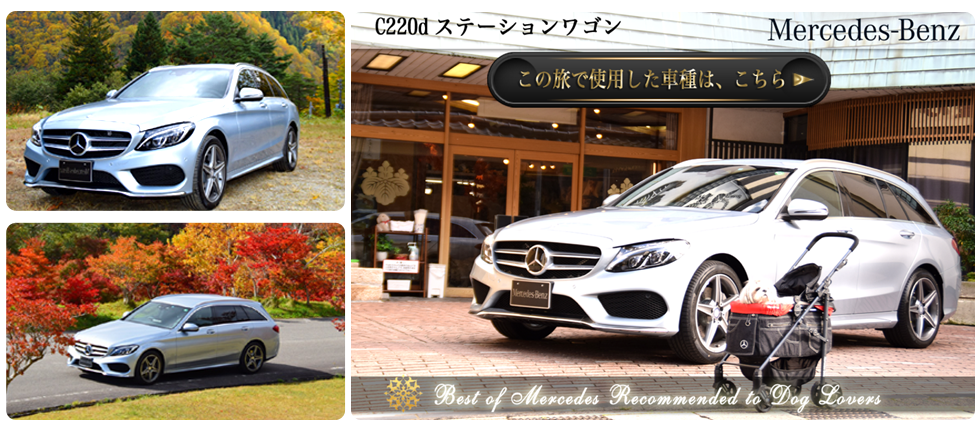 【C 220 d STATIONWAGON Sports】の愛犬旅適正度に中村が迫る！】愛犬との度に使用した車種の詳細をチェックする