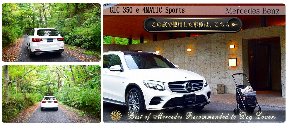 【GLC 350 e 4MATIC Sports】の愛犬旅適正度に中村が迫る！】愛犬との度に使用した車種の詳細をチェックする