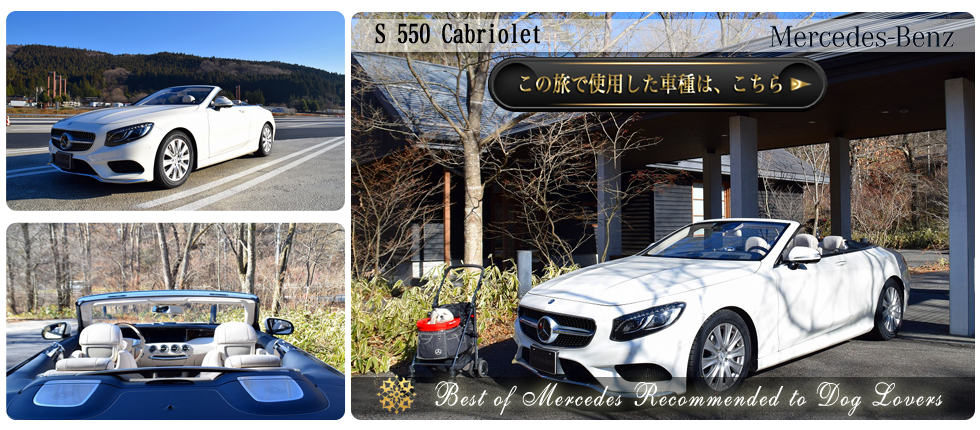 【S 550 Cabriolet】の愛犬旅適正度に中村が迫る！】愛犬との度に使用した車種の詳細をチェックする