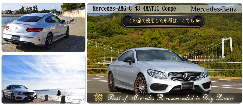 【Mercedes-AMG C 43 4MATIC Coupé】の愛犬旅適正度に中村が迫る！】愛犬との度に使用した車種の詳細をチェックする