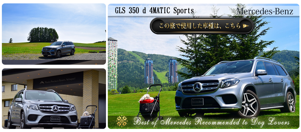 【GLS 350 d 4MATIC Sports】の愛犬旅適正度に中村が迫る！】愛犬との度に使用した車種の詳細をチェックする