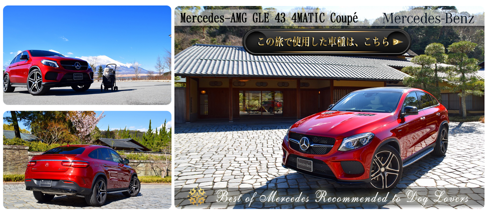 【Mercedes-AMG GLE 43 4MATIC Coupé】の愛犬旅適正度に中村が迫る！】愛犬との度に使用した車種の詳細をチェックする