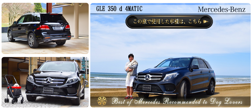 【GLE 350 d 4MATIC】の愛犬旅適正度に中村が迫る！】愛犬との度に使用した車種の詳細をチェックする