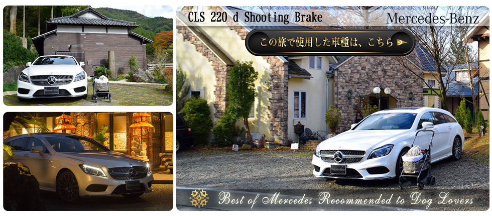 【CLS 220 d Shooting Brake】の愛犬旅適正度に中村が迫る！】愛犬との度に使用した車種の詳細をチェックする