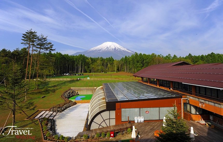 ドッグリゾートwoof 山梨県 ペットと泊まれる宿 犬と旅行 トラベルウィズドッグ