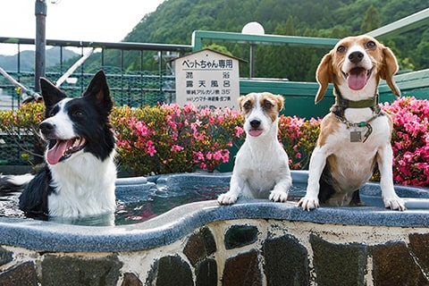 きぬ川国際ホテル 栃木県