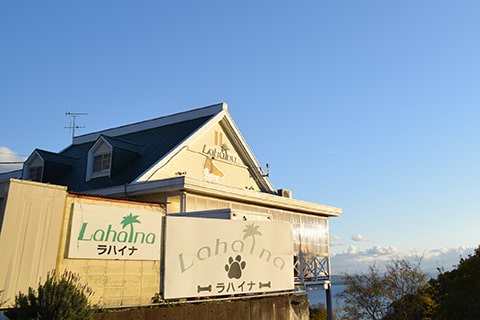 わんちゃんと泊まる宿 ラハイナ 岡山県