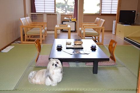 美作湯郷 竹亭別館 わんこ家 岡山県