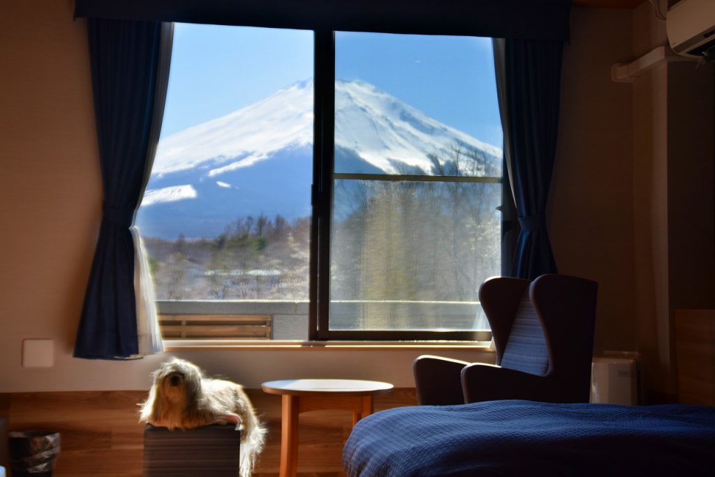 ワンズリゾート 山中湖　山梨県