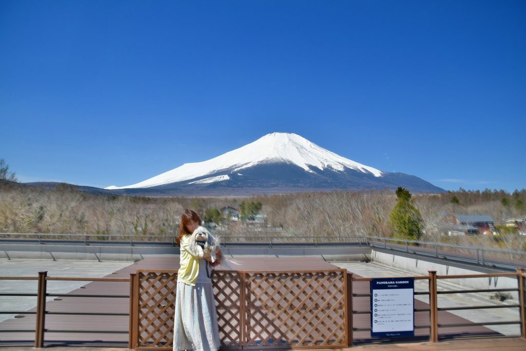 ワンズリゾート 山中湖　山梨県