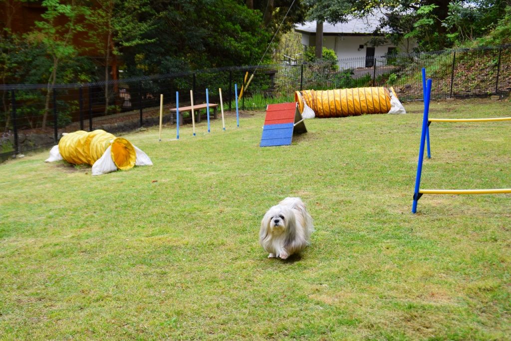 レジーナリゾート伊豆無鄰 静岡県