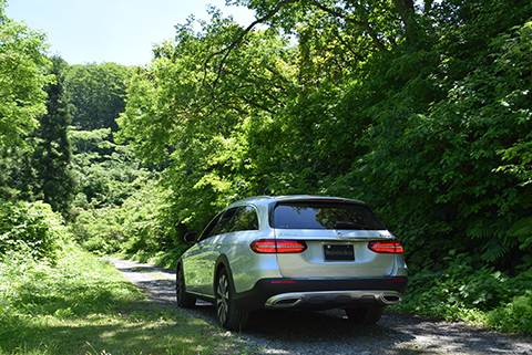 【E 220 d 4MATIC All-Terrain】の愛犬旅適正度に中村が迫る！