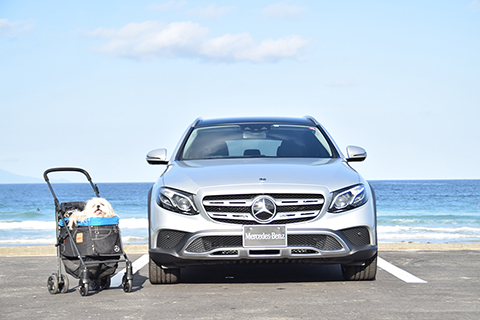 【E 220 d 4MATIC All-Terrain】の愛犬旅適正度に中村が迫る！