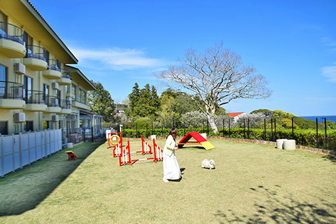 ワンズリゾート城ヶ崎海岸 静岡県