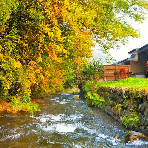 旅籠 彩くら 大分県