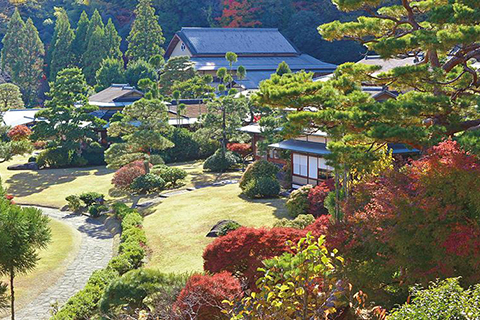 三養荘 静岡県