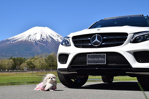 【GLE 350 d 4MATIC】の愛犬旅適正度に中村が迫る！