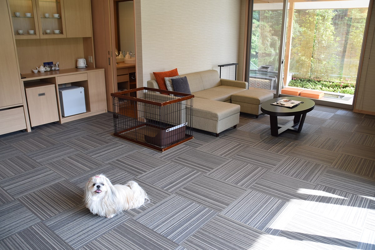 下湯原温泉 わんこあん 岡山県 ペットと泊まれる宿 犬と旅行 トラベルウィズドッグ