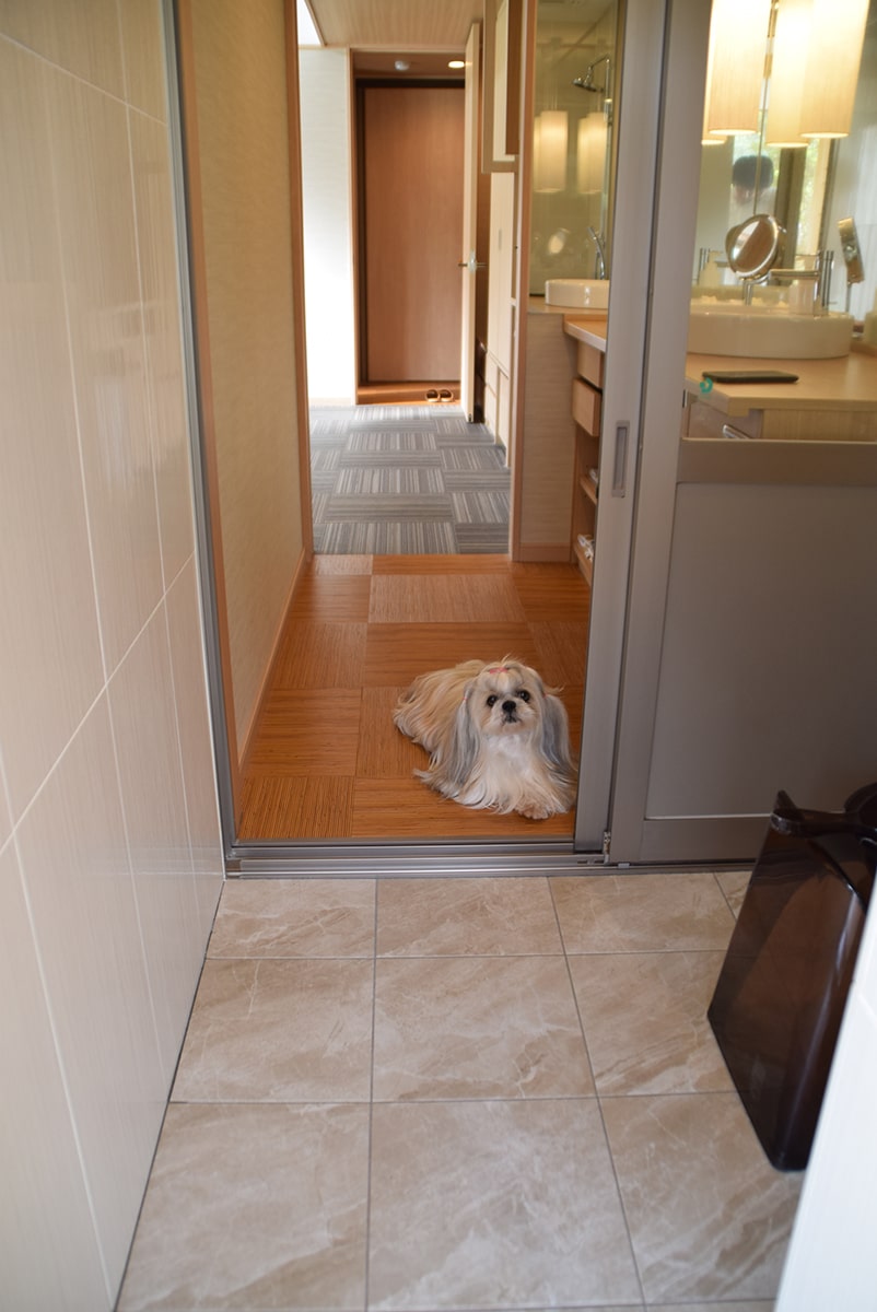 下湯原温泉 わんこあん 岡山県 ペットと泊まれる宿 犬と旅行 トラベルウィズドッグ