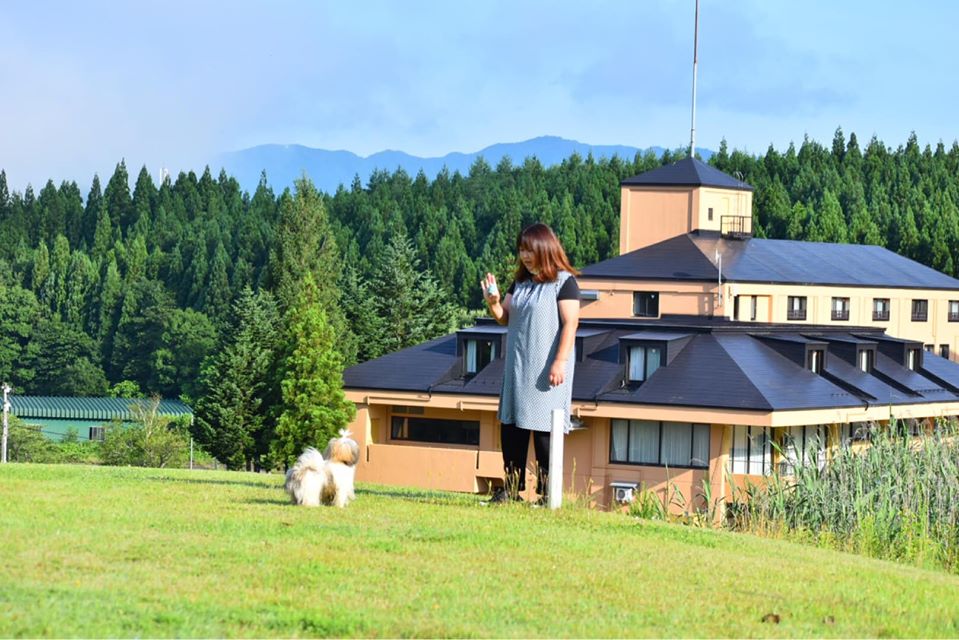 田沢湖 ペット と 泊まれる 宿