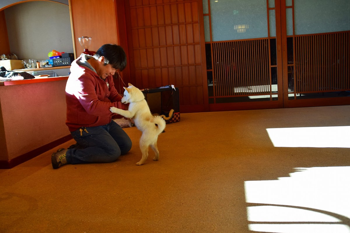 暖 灯 館 きく の や 犬