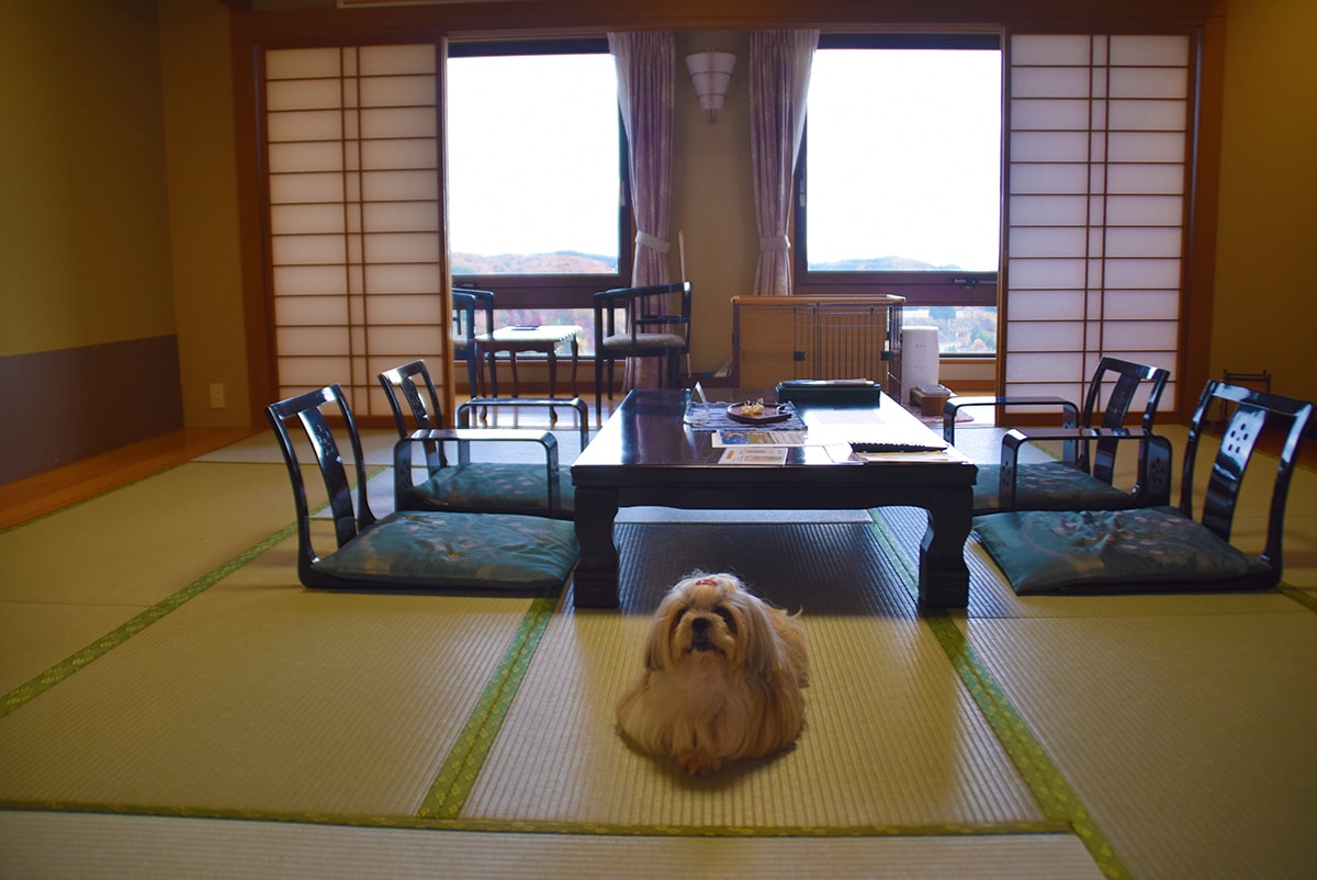 うぐいす や 旅館 ペット