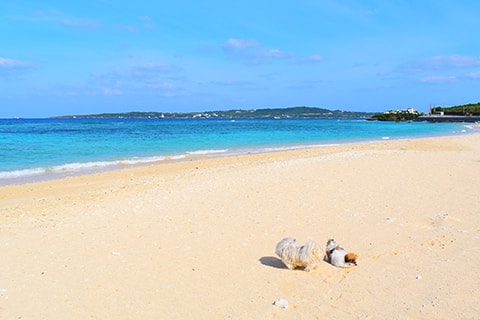 美ら海オンザビーチMOTOBU 沖縄県