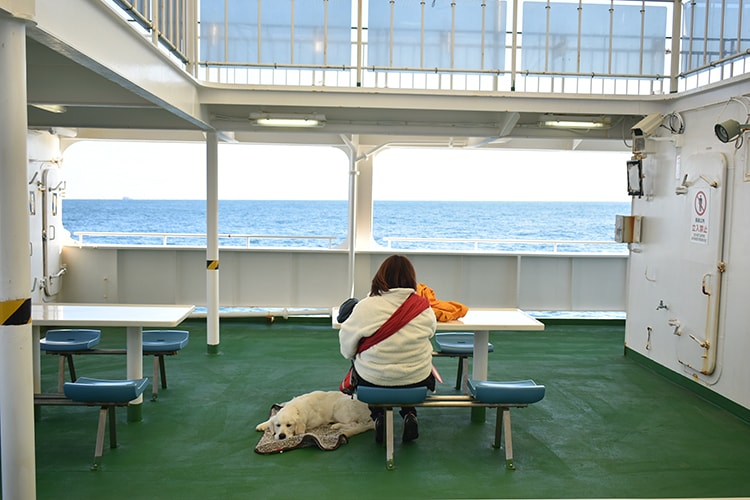 九州郵船のデッキで愛犬と過ごす様子