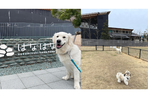 九州商船 長崎～五島列島