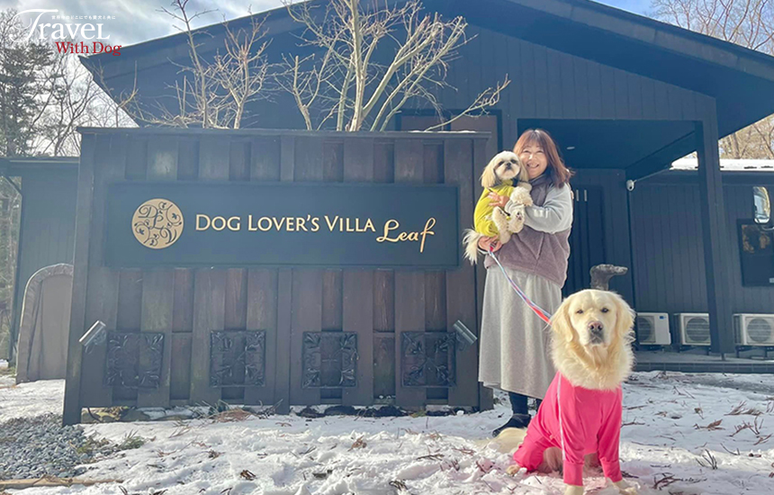 DOG LOVER’S VILLA Leaf