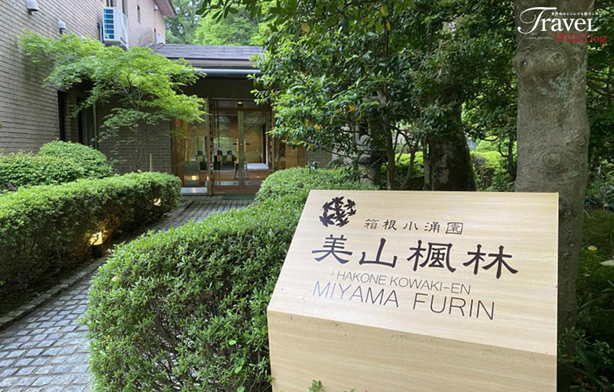箱根小涌園 美山楓林
