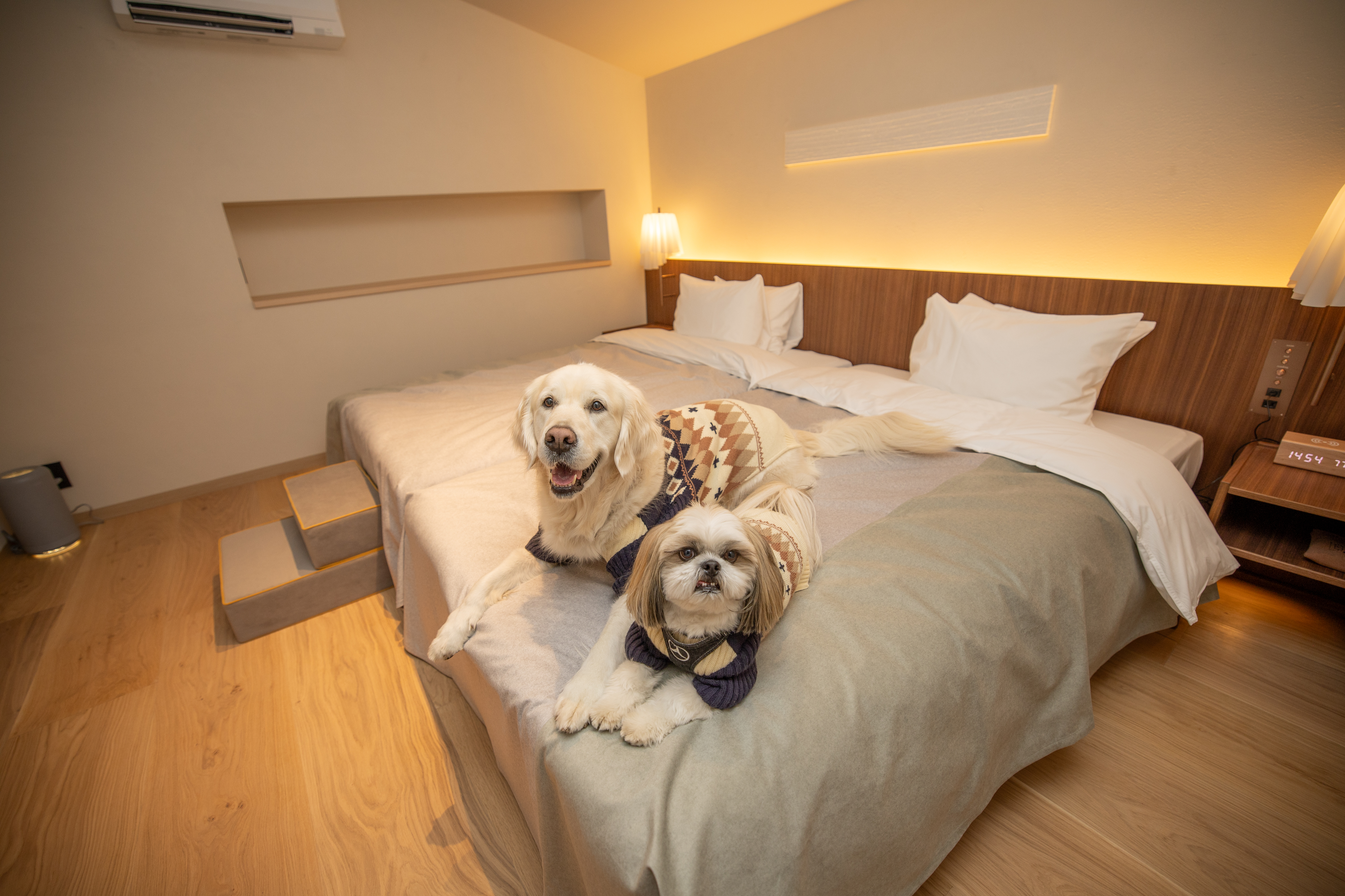 愛犬ファーストのこだわり