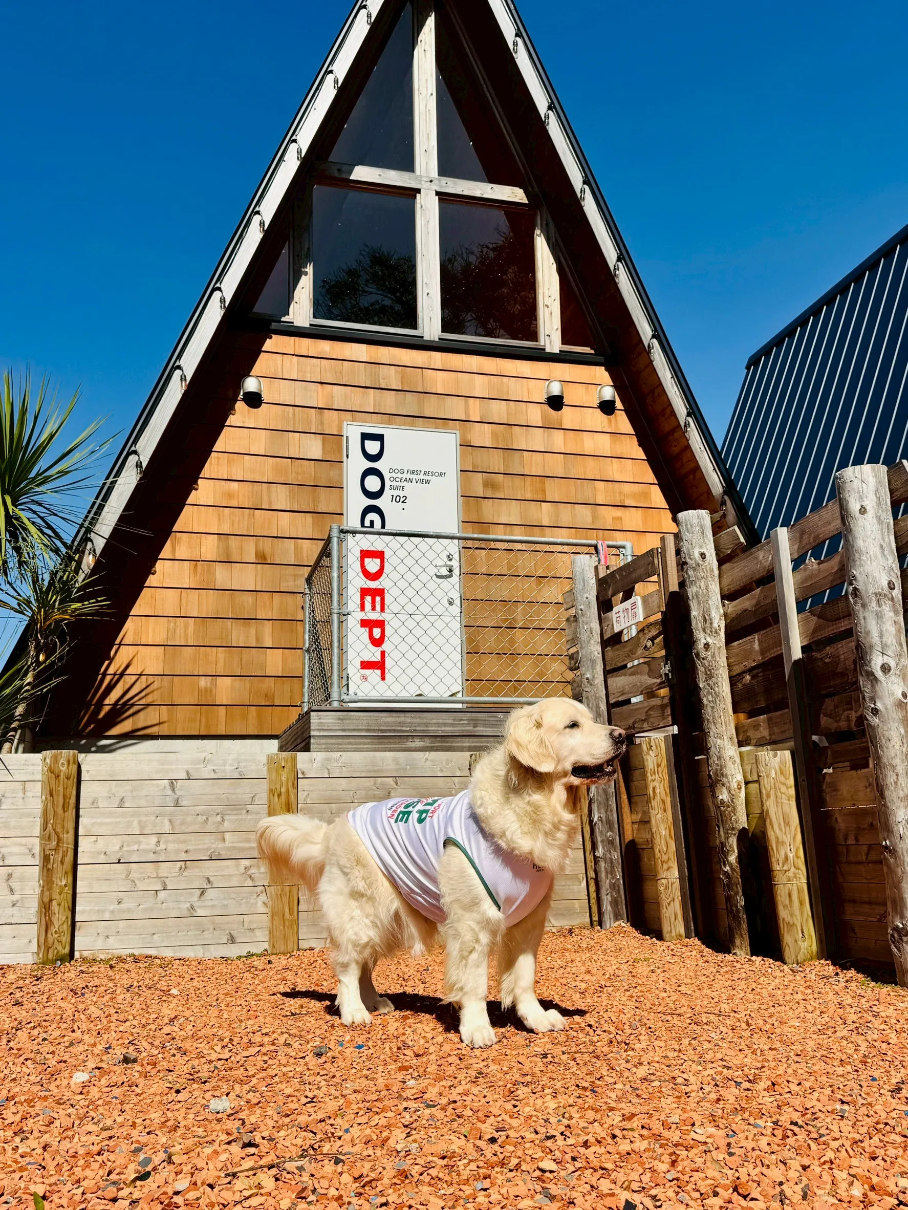 愛犬と過ごすDOG DEPTの施設