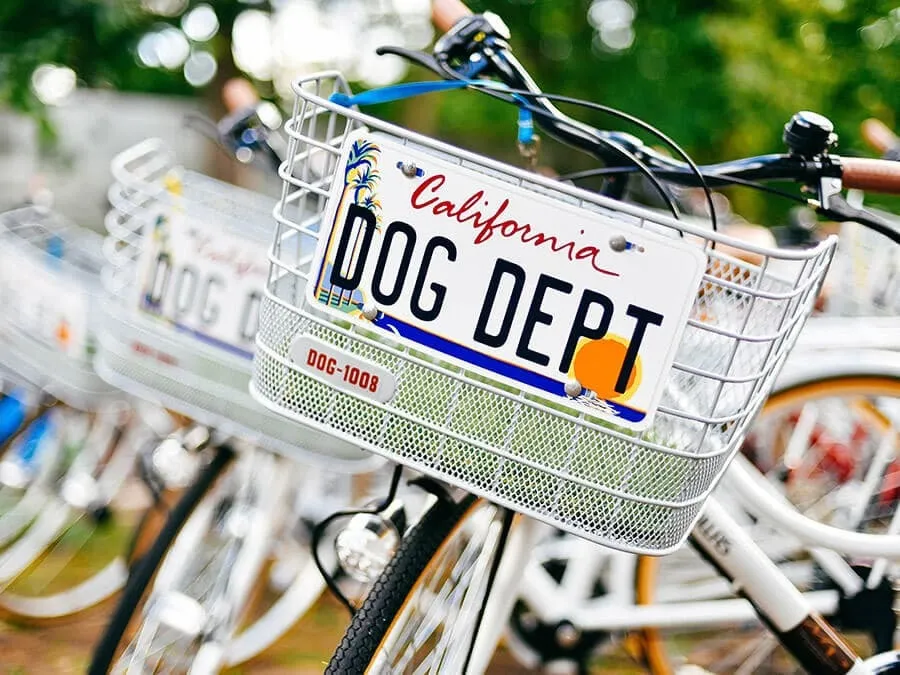 愛犬と楽しめるレンタサイクル