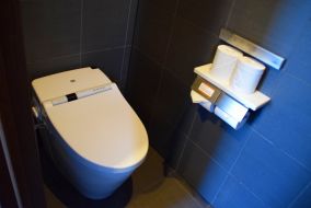 ニセコセントラル望