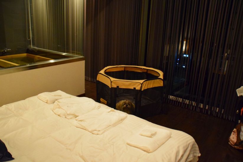 ニセコセントラル望