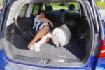 GLS 350 d 4MATIC Sports