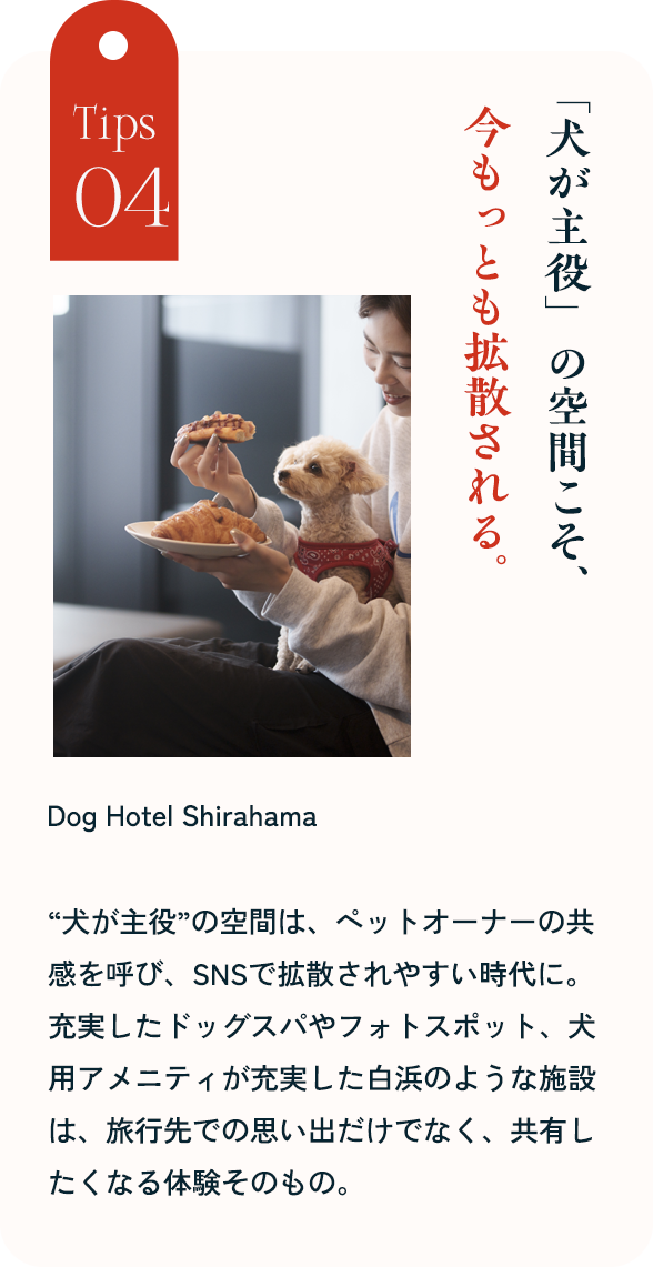 Tips