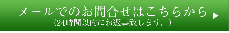 メール問合せボタン