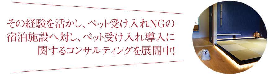 コンサルティング展開中