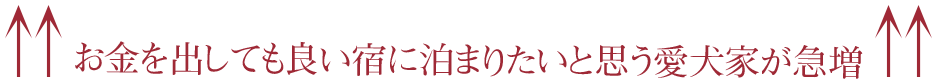 お金を出しても良い宿に泊まりたい