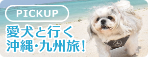 [PICKUP]愛犬と行く沖縄・九州旅!