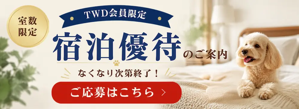 宿泊券応募